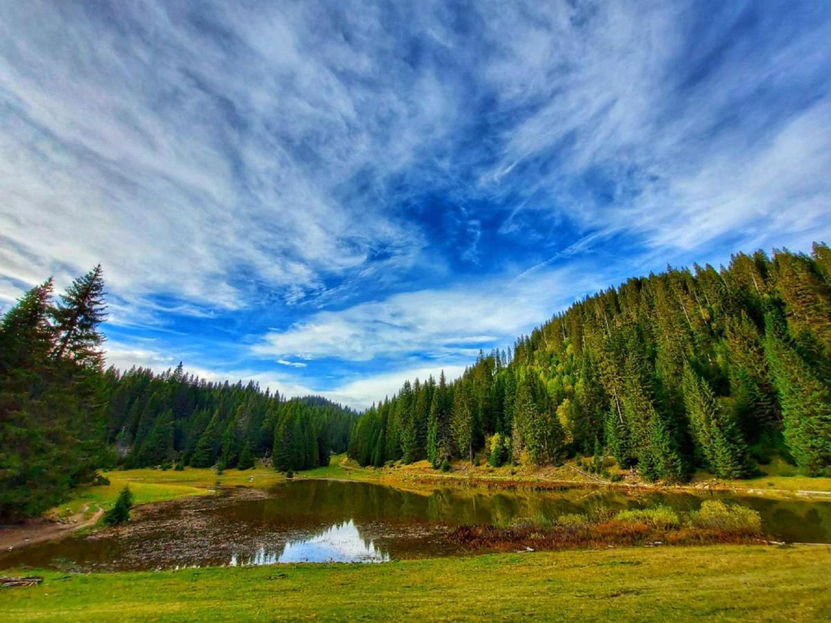 Resort Skrivena Berane Exteriér fotografie