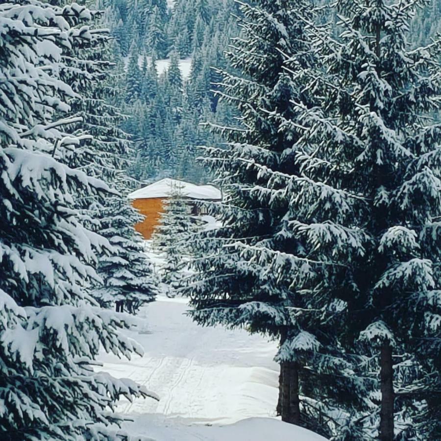 Resort Skrivena Berane Exteriér fotografie